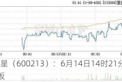 *ST亚星（600213）：6月14日14时21分触及涨停板