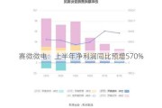 赛微微电：上半年净利润同比预增570%