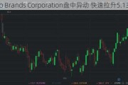 Acco Brands Corporation盘中异动 快速拉升5.13%