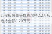 远程股份董秘仇真增持2.2万股，增持金额8.29万元