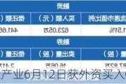 沪深股通|沪硅产业6月12日获外资买入0.06%股份