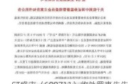 ST盛屯（600711）收处罚事先告知书，股民索赔分析