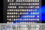 汉商集团：预计 2024 年半年度净利润同比下降 83.41%左右