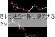 阿尼卡疗法盘中异动 股价大涨5.35%