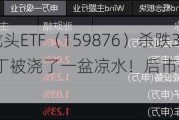 懵了！有色龙头ETF（159876）杀跌3．3%，冷不丁被浇了一盆凉水！后市何去何从？