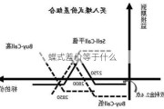 蝶式差价等于什么