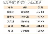 陇神戎发(300534.SZ)：控股子公司通过甘肃省专精特新中小企业复核