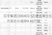 汉宇集团(300403.SZ)遭监事文红、方丽合计减持9.49万股