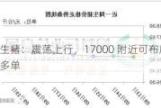 生猪：震荡上行，17000 附近可布局多单