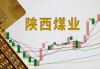 陕西煤业：6月煤炭产量同比增长5.05%