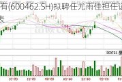 *ST九有(600462.SH)拟聘任尤雨佳担任证券事务代表