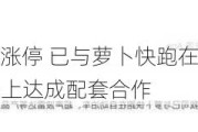 豪恩汽电20%涨停 已与萝卜快跑在自动泊车、超声波雷达等产品上达成配套合作