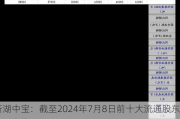 新湖中宝：截至2024年7月8日前十大流通股东持股占比60.82%