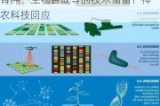 是否有生物育种、分子育种、智能育种、生物合成等的技术储备？神农科技回应