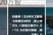 赛晶科技(00580.HK)9月16日耗资17.8万港元回购20万股