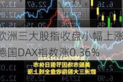 欧洲三大股指收盘小幅上涨 德国DAX指数涨0.36%