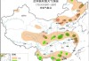 吉林省气象台发布暴雨黄色预警