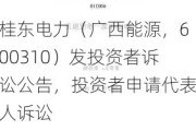 桂东电力（广西能源，600310）发投资者诉讼公告，投资者申请代表人诉讼