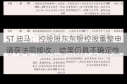 ST 迪马：控股股东东银控股重整申请获法院接收，结果仍具不确定性