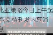 北亚策略今日上午起停牌 待刊发内幕消息