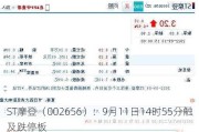 ST摩登（002656）：9月11日14时55分触及跌停板