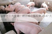 山东外三元生猪：明日或小幅反弹 20.47 元/公斤