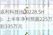 返利科技(600228.SH)：上半年净利预盈225万元到335万元