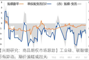 【兴期研究：商品期权市场跟踪】工业硅、碳酸锂指标有异动，期价波幅或加大