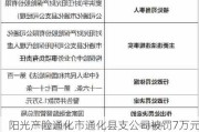 阳光产险通化市通化县支公司被罚7万元：利用保险代理人虚构保险中介业务