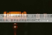 因对“审计”一词理解存分歧，上市公司子公司遭一地水利局反诉，要求返还资金约1.03亿元