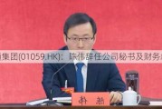 看通集团(01059.HK)：陈伟辞任公司秘书及财务总监