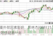 受多重外部因素影响，思林杰(688115.SH)募投项目延期一年