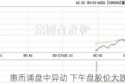 惠而浦盘中异动 下午盘股价大跌5.05%