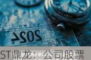 ST鼎龙：公司股票收盘价首次低于1元/股 存在可能被终止上市的风险