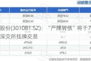 严牌股份(301081.SZ)：“严牌转债”将于7月26日在深交所挂牌交易