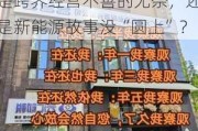 观察 | 中银绒业或成深市年内首家非ST退市股：是跨界经营不善的无奈，还是新能源故事没“圆上”？