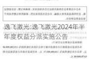 逸飞激光:逸飞激光2024年半年度权益分派实施公告