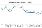 规模以上工业企业：上半年利润增长 3.5%