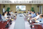 双林股份：6月14日召开董事会会议