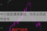 中小盘股遭遇重挫，尚未出现进场信号