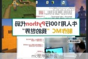 mc程序是什么