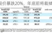 美CPU巨头股价暴跌20%，年底前将裁掉超1.7万人