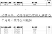 柏楚电子：控股股东及实控人承诺12个月内不减持公司股份