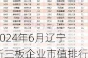 2024年6月辽宁新三板企业市值排行榜：12家企业去年净利润超3000万元