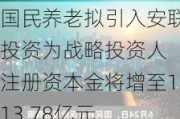 国民养老拟引入安联投资为战略投资人 注册资本金将增至113.78亿元