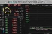 美光科技盘中异动 股价大涨5.00%