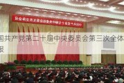 中国***第二十届中央委员会第三次全体会议公报