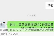 中山公用(000685.SZ)：2023年年度权益分派10派2元 除权日7月25日