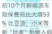 前10个月新能源车险保费同比大增53% 比亚迪、小米等新“玩家”相继入局