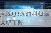 壳牌Q3炼油利润率大幅下降